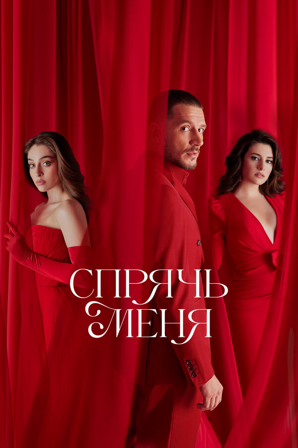 Спрячь меня - постер